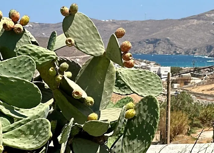 Eleni's Village Apartament